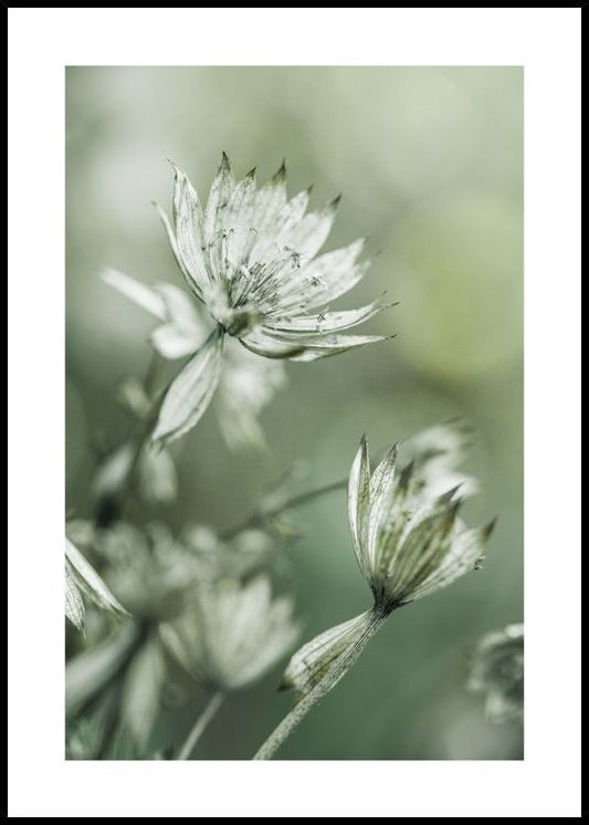 Watercolor blooming in green poster for nursery and home wall decor.
