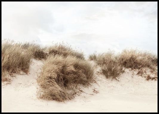 Grass Dunes Poster