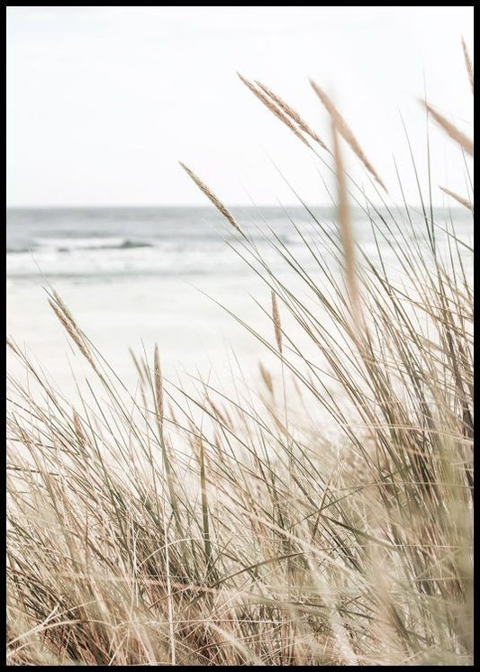 Watercolor beachy reeds poster for nursery and home wall decor.
