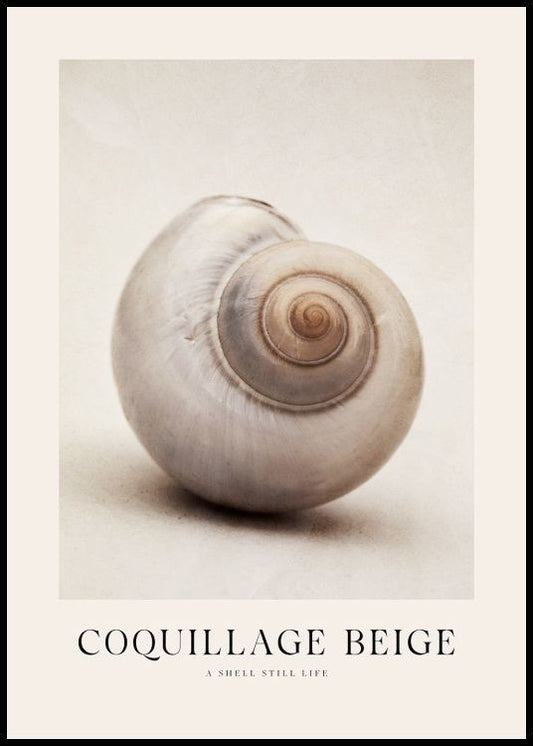 Coquillage Beige Poster