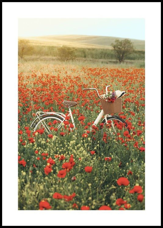 Watercolor bicycle on field poster for nursery and home wall decor.
