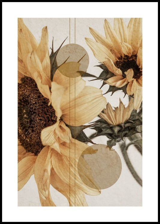 Watercolor sunflower constellation no1 poster for nursery and home wall decor.