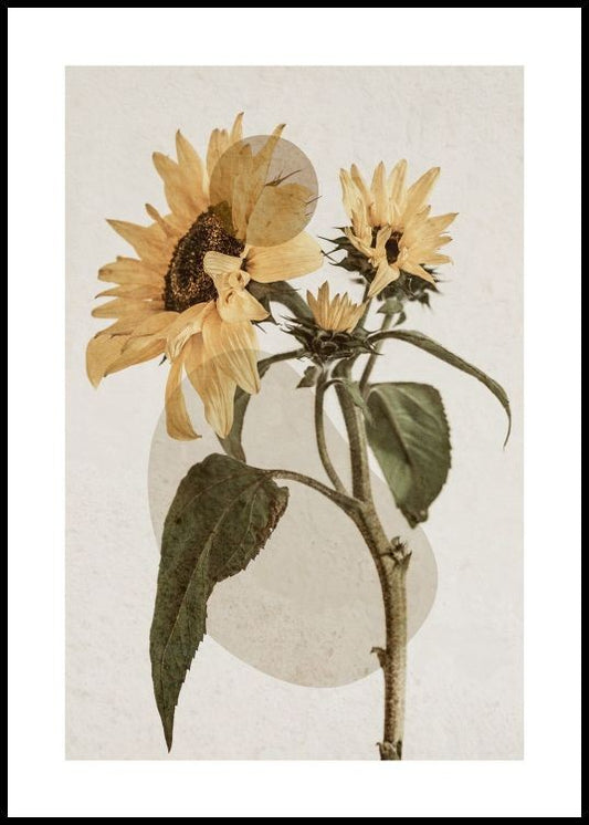 Watercolor sunflower constellation no2 poster for nursery and home wall decor.