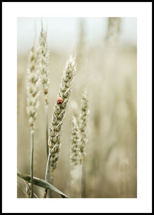 Watercolor ladybug in the field poster for nursery and home wall decor.