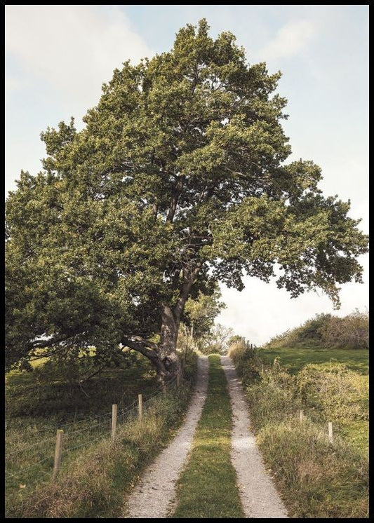 Watercolor path through greenery poster for nursery and home wall decor.