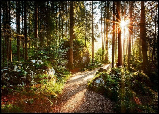 Watercolor forest pathway poster for nursery and home wall decor.