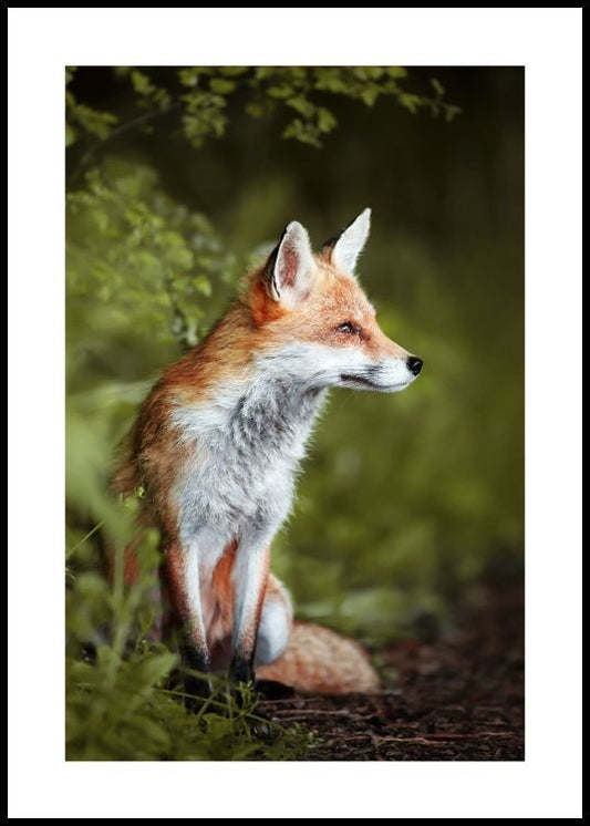Watercolor thoughtful fox poster for nursery and home wall decor.