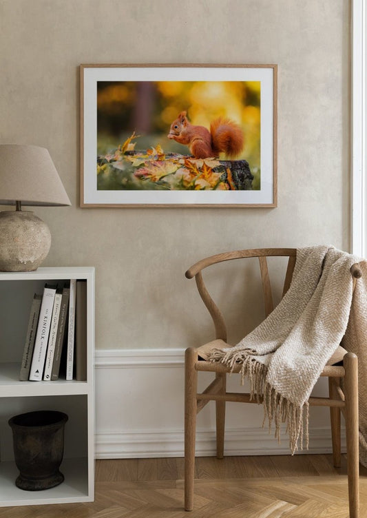 Autumn Squirrel Poster