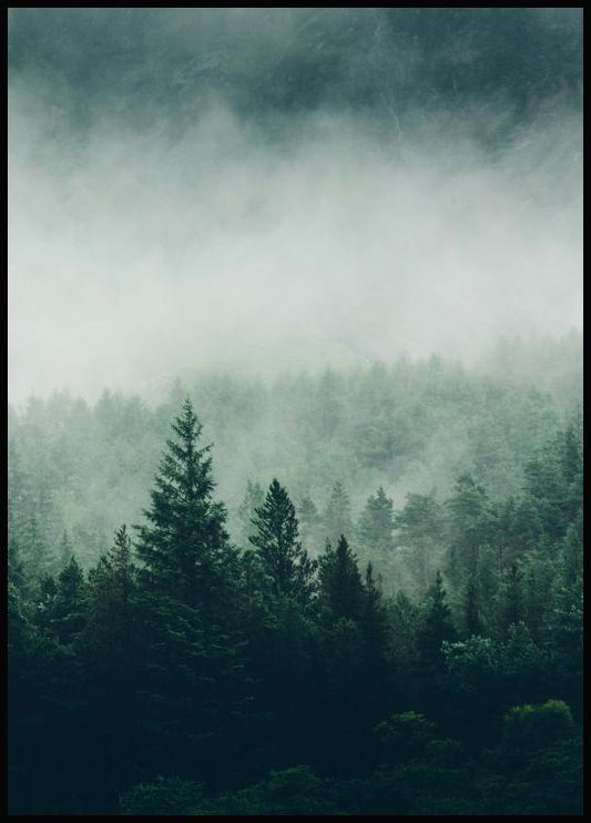 Watercolor tree top fog poster for nursery and home wall decor.