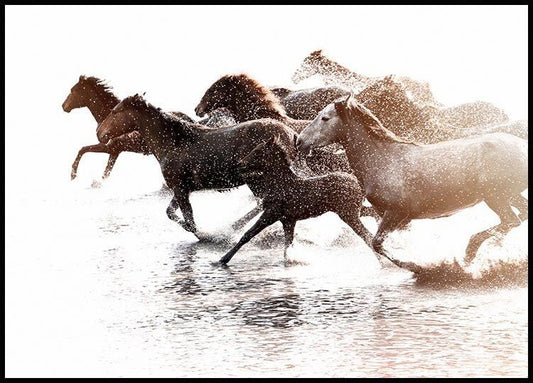 Watercolor wild horses poster for nursery and home wall decor.