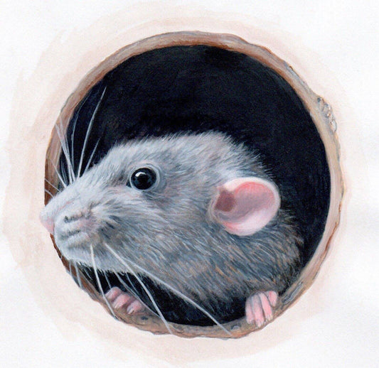 Playful Rat Wall Art Sticker - Matt Vinyl, Removable and Repositionable